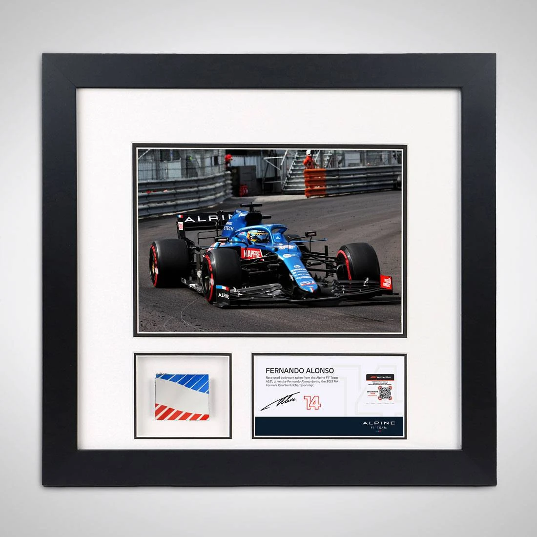 Alpine Fernando Alonso 2021 Bodywork & Photo Alpine 1 Alpine Fernando Alonso 2021 Bodywork & Photo Alpine