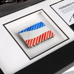 Alpine Fernando Alonso 2021 Bodywork & Photo Alpine 10 Alpine Fernando Alonso 2021 Bodywork & Photo Alpine