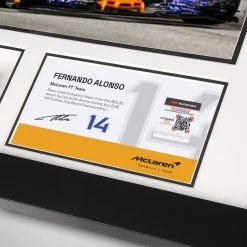 McLaren Fernando Alonso 2018 Bodywork & Photo