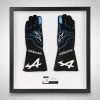 Alpine Alpine Fernando Alonso 2021 Race Spec Race Gloves