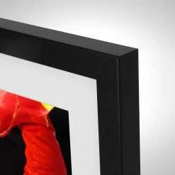 Fernando Alonso 1st Home Win With Ferrari – Spanish GP 2013 - James Moy Print