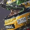 Team Archive Ayrton Senna Profile - Paul Oz