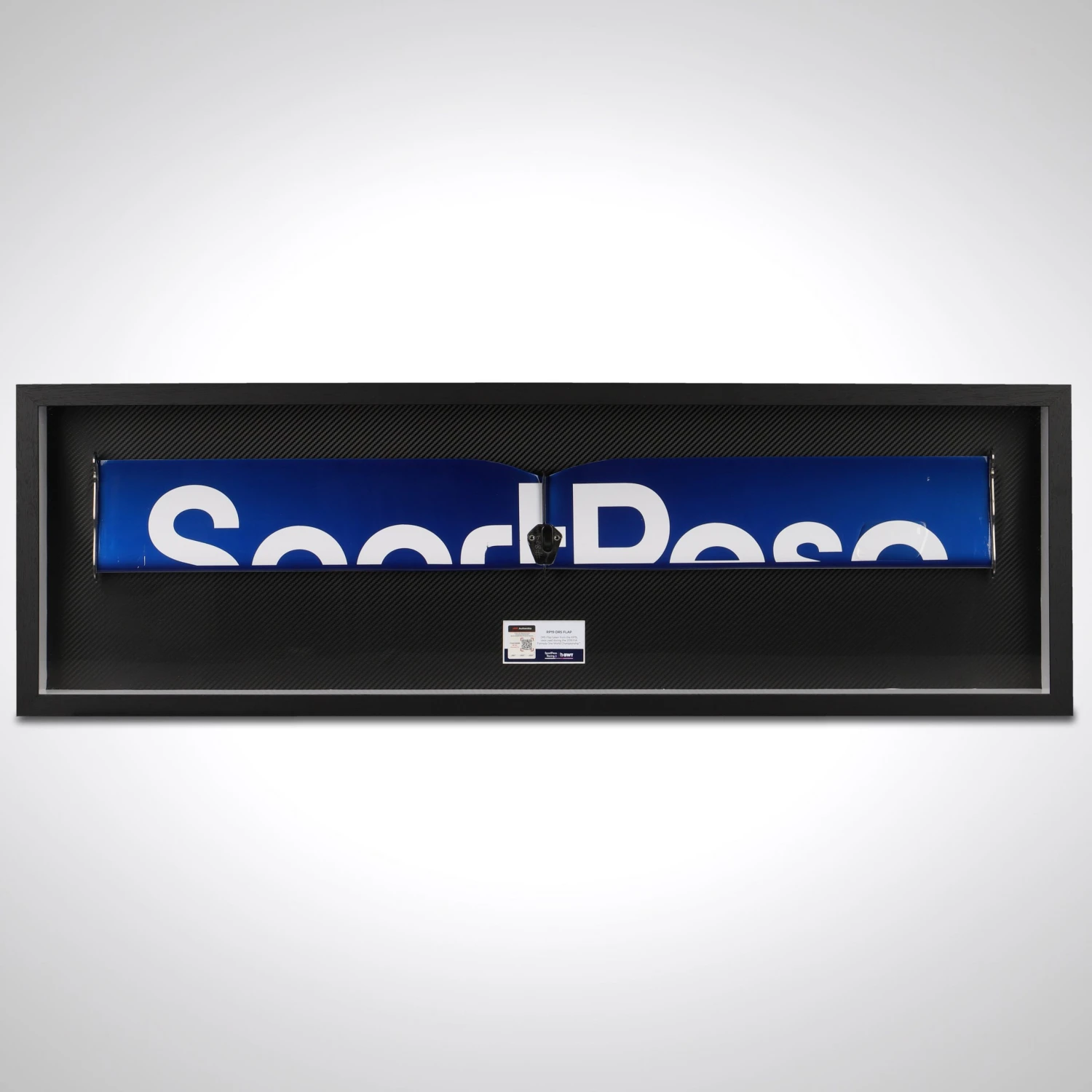 RacingPoint2019DRSFlap_1.jpg Racing Point Force India SportPesa Racing Point F1 Team 2019 Rear Wing DRS Flap